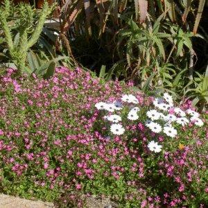 Övervintrresa2, 2008-2009