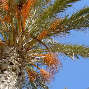 Övervintrresa2, 2008-2009