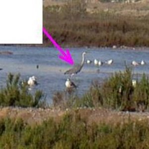 Övervintrresa2, 2008-2009