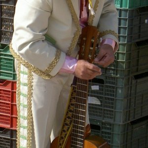 Övervintrresa2, 2008-2009