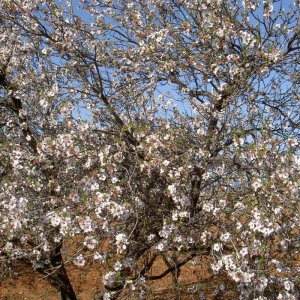 Övervintrresa2, 2008-2009