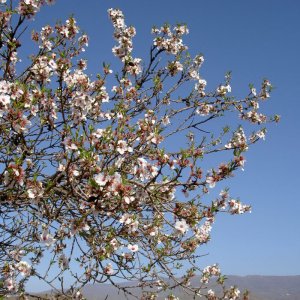 Övervintrresa2, 2008-2009