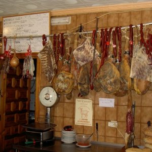 Övervintrresa2, 2008-2009