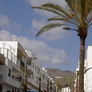 Övervintrresa2, 2008-2009