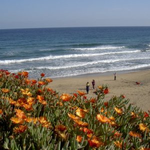 Övervintrresa2, 2008-2009