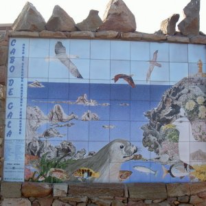 Övervintrresa2, 2008-2009