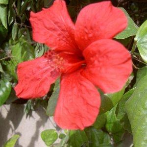 Övervintrresa2, 2008-2009