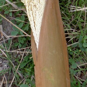 Övervintrresa2, 2008-2009