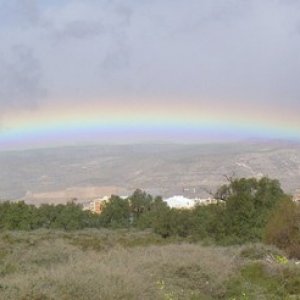 Övervintrresa2, 2008-2009