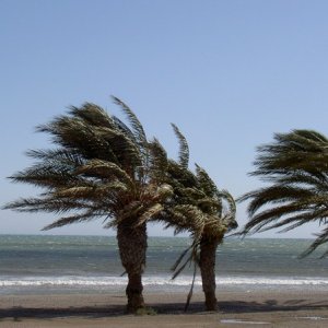 Övervintrresa2, 2008-2009