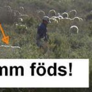 Övervintrresa2, 2008-2009