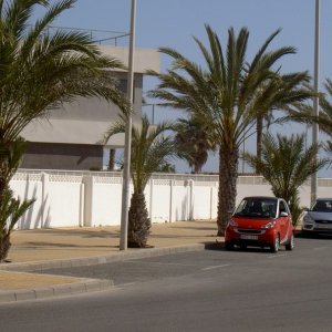 Övervintrresa2, 2008-2009