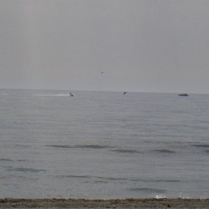 Övervintrresa2, 2008-2009