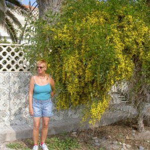 Övervintrresa2, 2008-2009