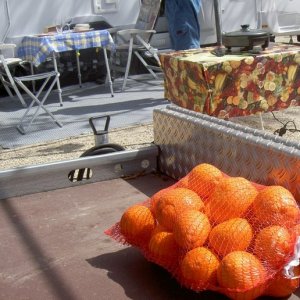 Övervintrresa2, 2008-2009