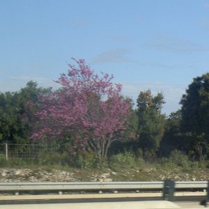 Övervintrresa2, 2008-2009