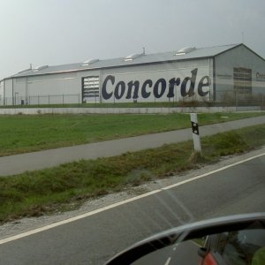 Övervintrresa 2008-2009