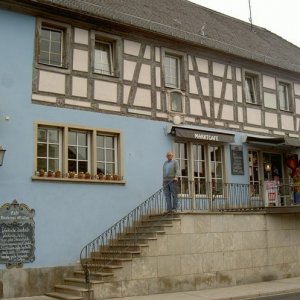 Övervintrresa 2008-2009