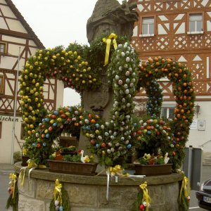 Övervintrresa 2008-2009