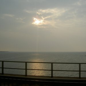 Övervintrresa 2008-2009