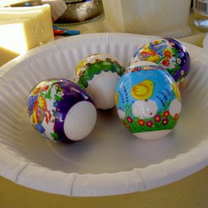 Övervintrresa 2008-2009