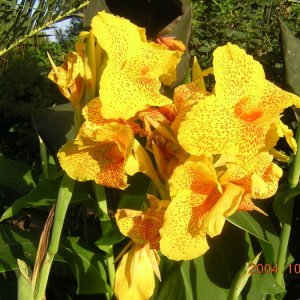 Aginara Camping Peloponnesos Grekland