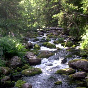 Norge 2006