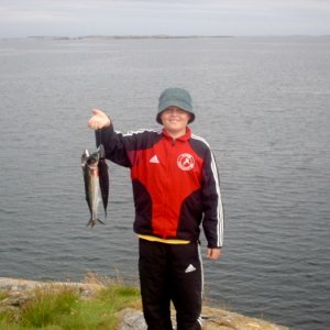 Norge 2006