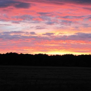 Sommaren 2010