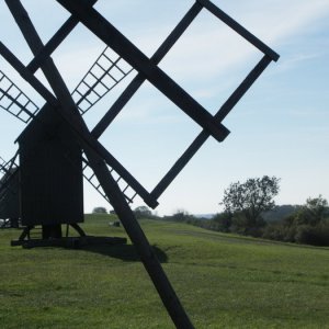 Sommaren 2010