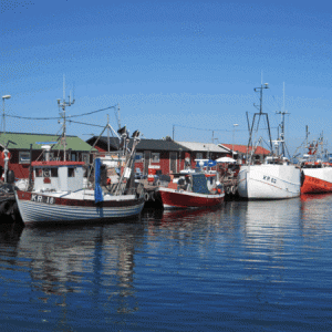 Sommaren 2010