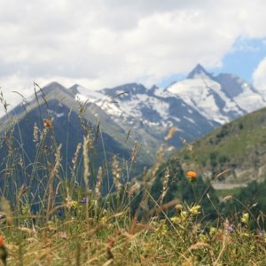 Grossglockner