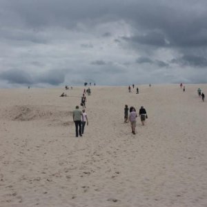Jylland 2010