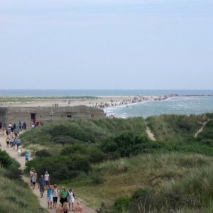 Jylland 2010