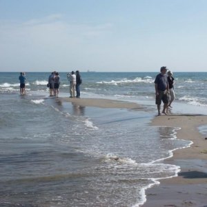 Jylland 2010