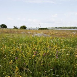 Tosteberga Hamn