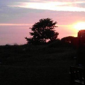 Gotland 2011