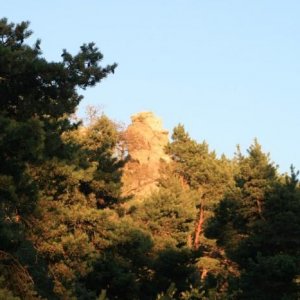 Gotland 2011