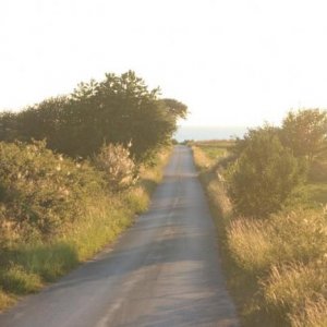 Gotland 2011