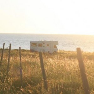 Gotland 2011