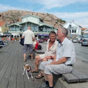 Guleskär