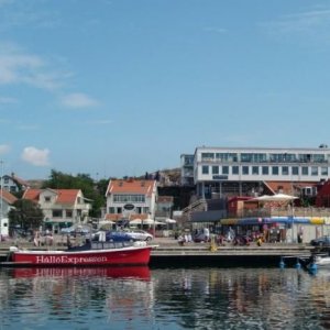 Guleskär