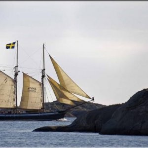 Sommaren 2011