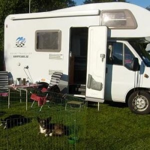 Sommaren 2008