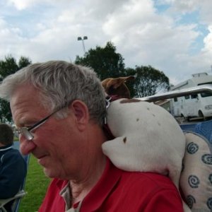 Nossebro 2012