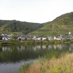 Bremm
