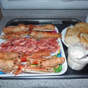 Hösttur Till Grebbestad