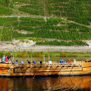 Mosel Sept -12