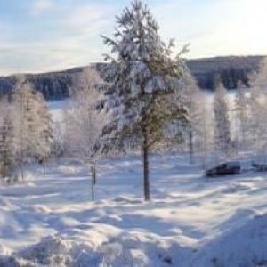 Vinterland