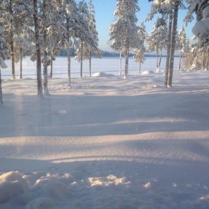 Vinter 2013